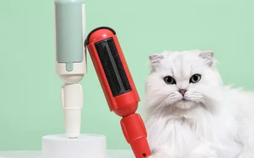 Pet hair Remover
